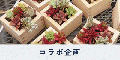 大橋量器の取り組み紹介ページ内、目次。コラボ企画へ移動