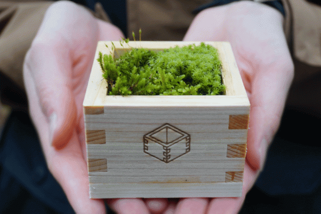 大橋量器ツーリズム事業